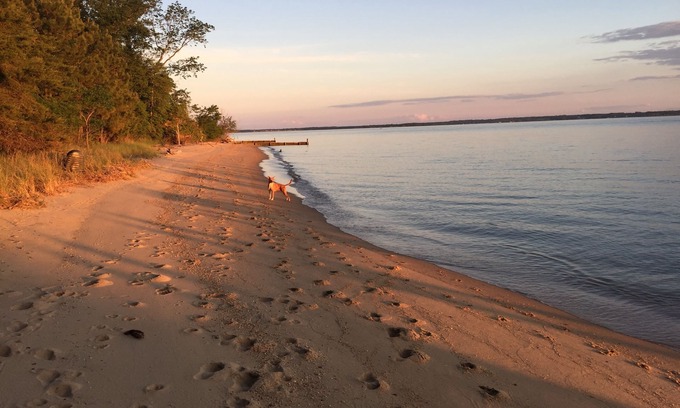 White Stone House | The River House at Whitestone: Pet Friendly, Secluded Private Beach, w/Kayaks!