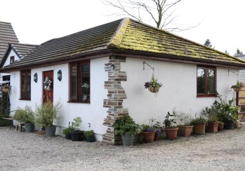 Callington House | The Studio with Terrace and EV point
