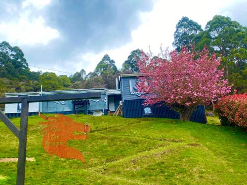 Tullah House | The Tin Dragon