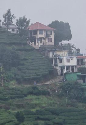 Pallivasal House | THE Unplugged Escape villa ,Munnar