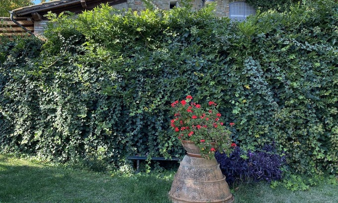 Greve in Chianti Villa | The Villa