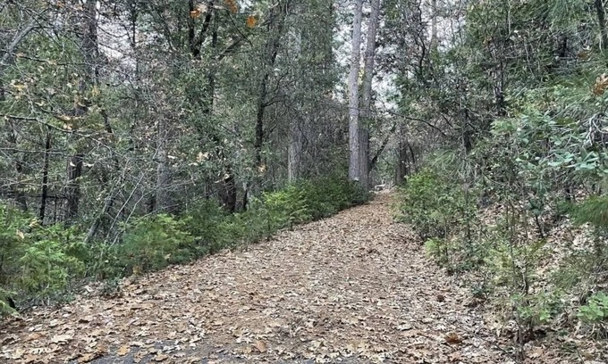 Sonora RV Rental | This campsite provides the ultimate outdoor experience!