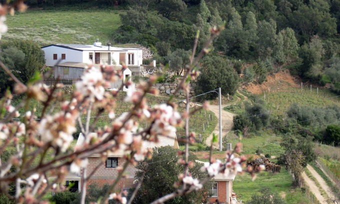 Lanusei House | This Cozy House is Surrounded by Natural Beauties. WiFi and ADSL.