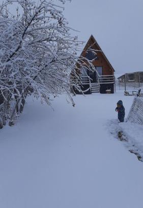 Gergeti Apartment | Thomas' Hut