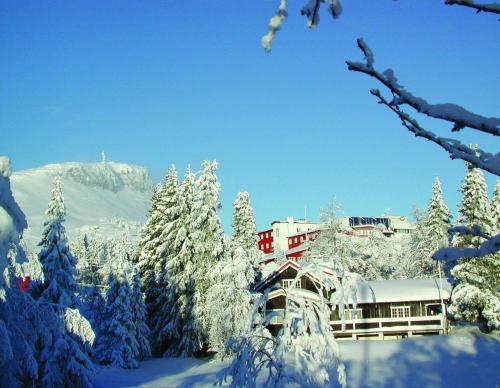 Svingvoll Hotel | Thon Hotel Skeikampen