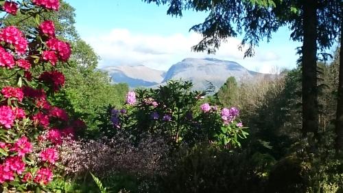 Fort William House | TOM BEAG - Ben Nevis view ROOMS