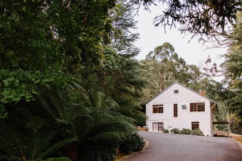 Noojee Cabin | Toorongo Valley Estate