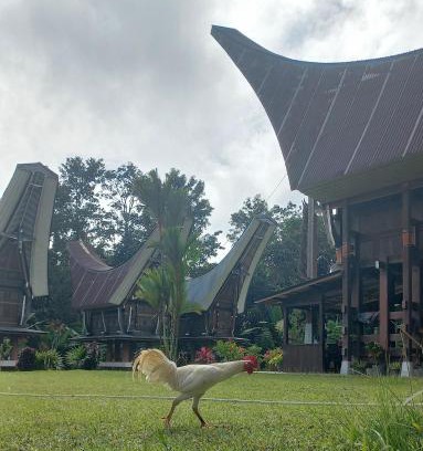 Rinding Batu House | Toraja Homestay & Coffee Bunna