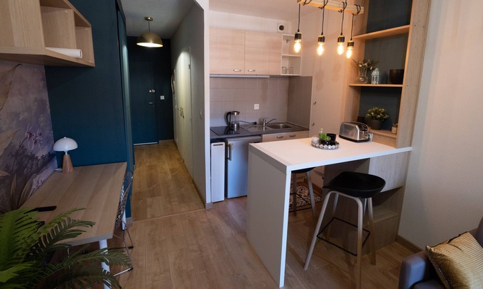 Compans-Caffarelli Apartment | Toulouse Centre Tbs School Jardin Japonais