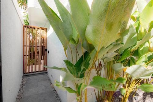 By Pass Ngurah Rai House | Town House REX