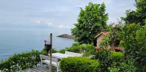 Akcaabat Apartment | Trabzon Villa