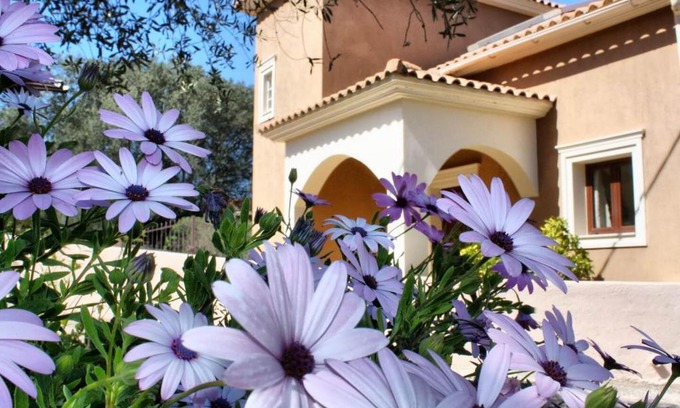 Lakithra Villa | Traditional Villa Mandola