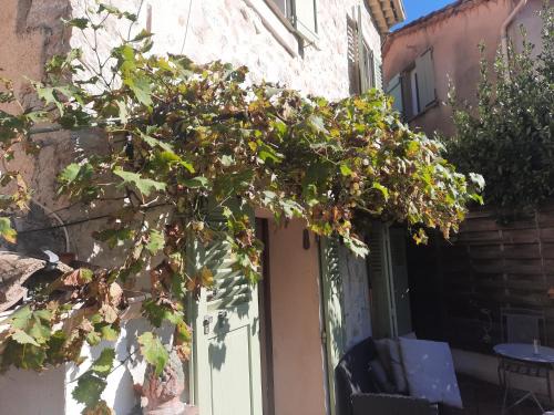 Magagnosc Apartment | Tranquil, calm garden studio with spa pool