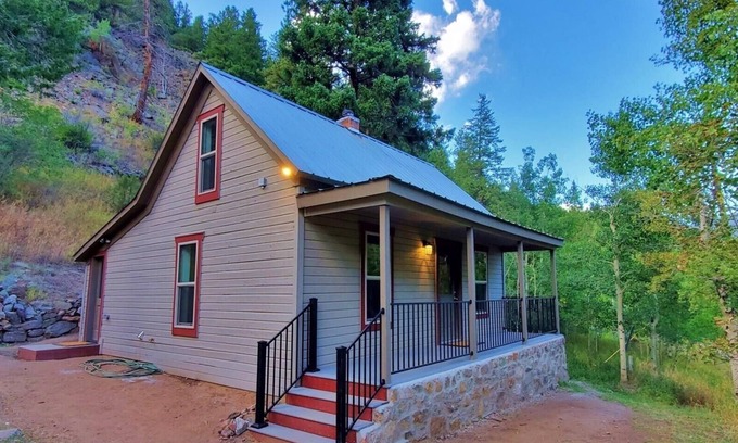 Idaho Springs Cabin | Traveler's Mountain Retreat w/Grotto Cave Room