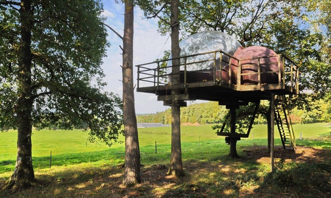 Erezee House | Tree Glamping in Fisenne with Ardennes View