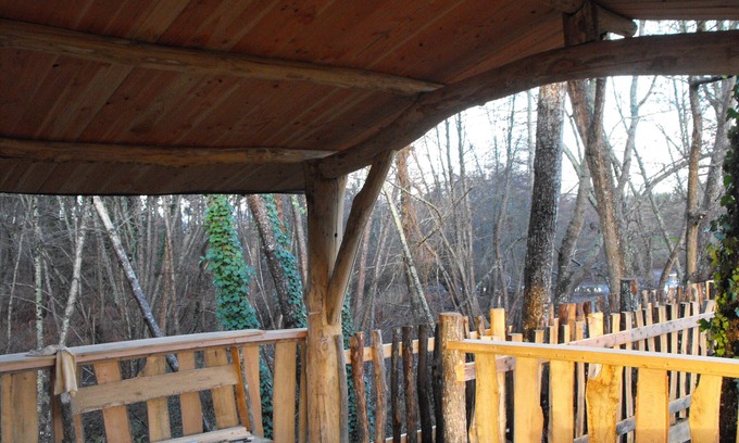Allons Cabin | Tree house