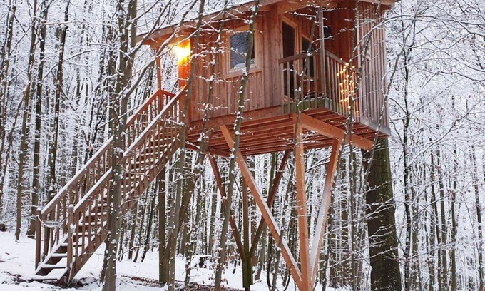 Solling Apartment | Tree house free space, living/sleeping room - Baumhaushotel Solling