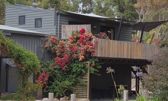 Pink Lake Apartment | Tree Top Upstairs Apartment