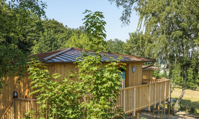 Aerzen Cabin | Treehouse Birkenhöhe - Aerzener Baumhaushotel Waldquelle