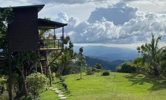Jesus House | Treehouse on a Coffee Farm with Ocean View