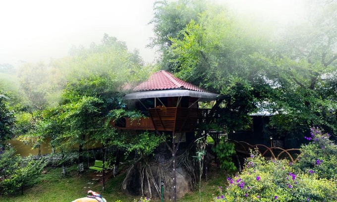 Vagamon Hotel | Treehouse Tabor Hills Resort Vagamon