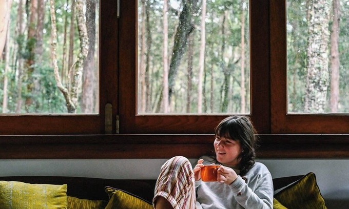 Salisbury Cabin | Treetops - Your Rainforest RetreatnnSurround yourself with nature.