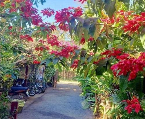 Ban Lung House | Tribal Village Homestay & Trekking