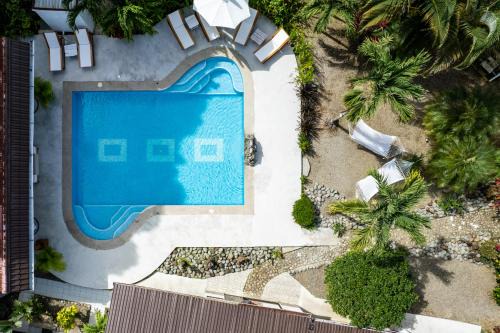 Dominical Hotel | Tribe Boutique Hotel - Adults Only