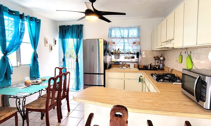 Hoyo Mulas Apartment | Tropical Breezy Suite - 10 mins near SJU airport and beaches