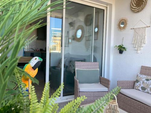 Frontignan Apartment | Tropical Duplex : Bord de mer + Piscine