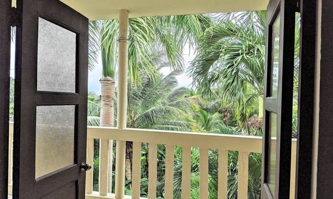 Duque Cabin | Tropical Rainforest Retreat