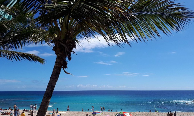 Boucan Canot Apartment | Tropical vacations in T1bis bungalow, 2 stars, beachfront in Boucan