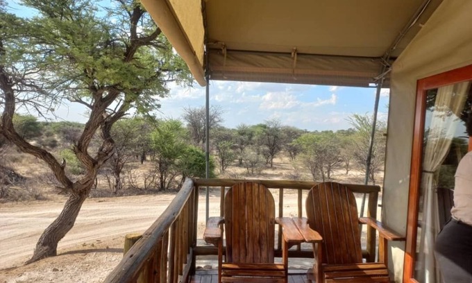 Kgalagadi District Hotel | Tsabong Eco-Tourism Camel Park