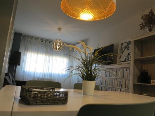 Tudela Apartment | Tudela balcón de Bardenas