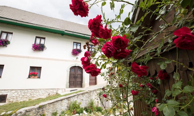 Studor Apartment | Turistična kmetija Gartner