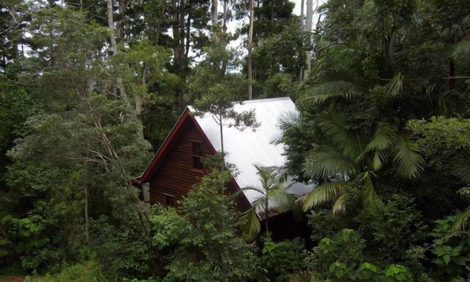 Mount Glorious Cottage | Turkey's Nest - Rose Gum Cottage