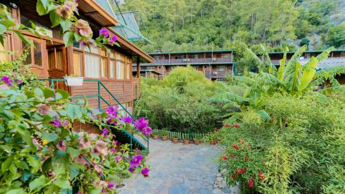 Olympos Resort | Turkmen Tree Houses