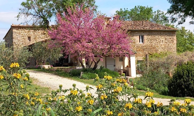 San Macario In Monte Apartment | Tuscan Hideaway with Views and Pool