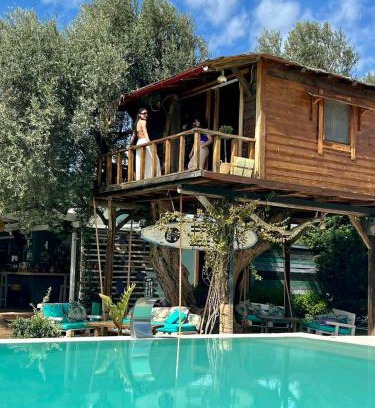 Dirfys-Messapia Apartment | Tuz Treehouse