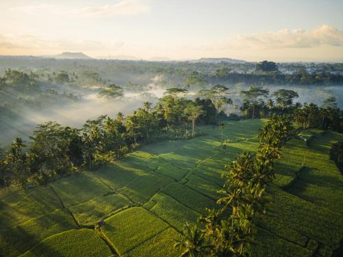 Mas Villa | Ubud Mas Glamping Luxury Tent