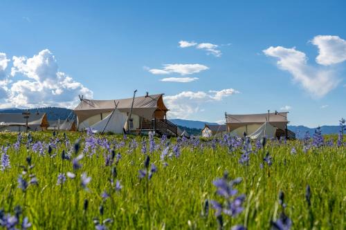West Yellowstone Other | Under Canvas West Yellowstone