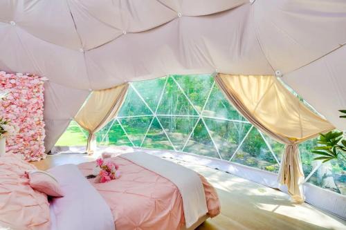 Monticello Other | Unique Escapes - Rosé All Day Geodome