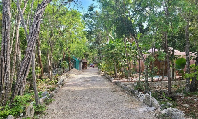 Soliman Bay Apartment | Unique Jungle Dome Ha With Kitchen