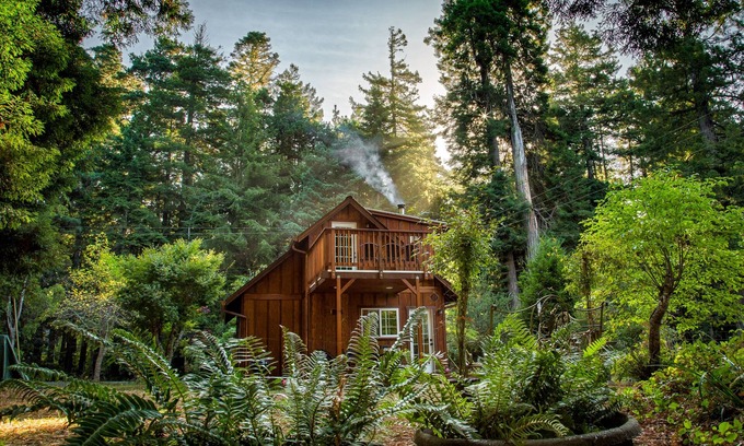 Fort Bragg Cabin | Unique retreat surrounded by redwoods - outdoor tub & wood stove, dog-friendly