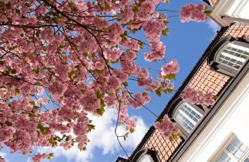Uppsala Hostel | Uppsala City Hostel