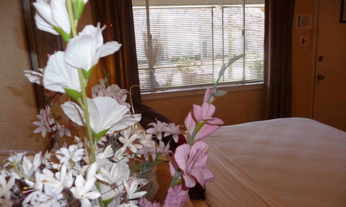 Knox - Henderson Apartment | Uptown Dallas – Charming Studio 1B, WiFi, Parking, Near Restaurants & Shops