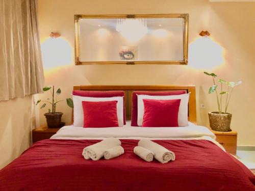Kolovicë Hotel | Urban Boutique Hotel