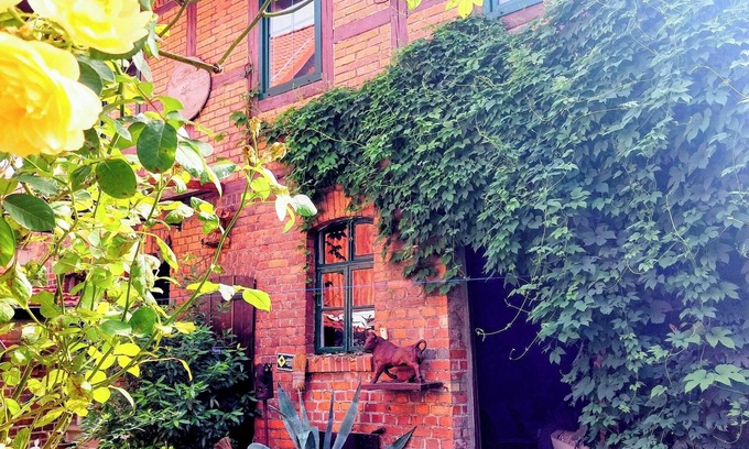 Deersheim Apartment | Urlaub im Alten Fachwerk Im Sommer mit Gartenblick Oder im Winter vor dem Kamin