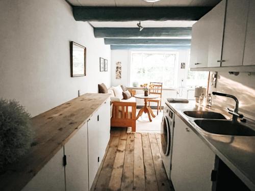 Ringkøbing-Skjern Municipality Apartment | Völlige Ruhe mitten in der Natur