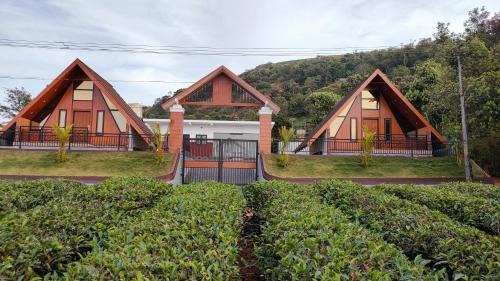 Thankamony part Bed & Breakfast | Vaango Cottages